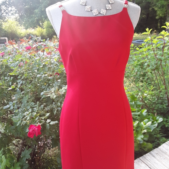 Amazing Red Dress - Picture 7 of 10